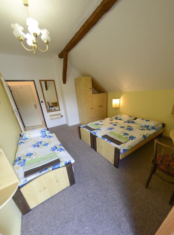 Penzion Ve Dvorku Český Krumlov Extérieur photo